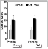 memory study data 2